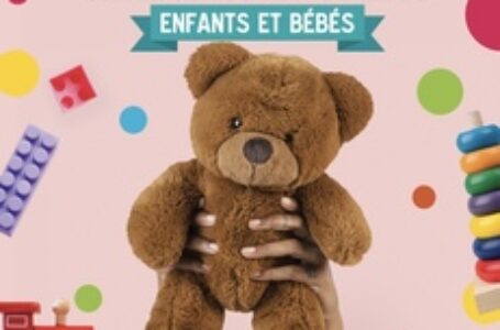 Bourse aux jouets – Meung sur Loire – 6 juillet 2024